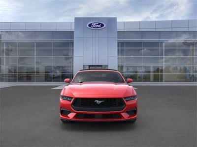 2024 Ford Mustang EcoBoost 201A