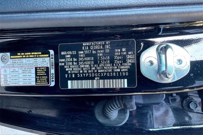 2023 Kia Telluride SX-Prestige X-Pro