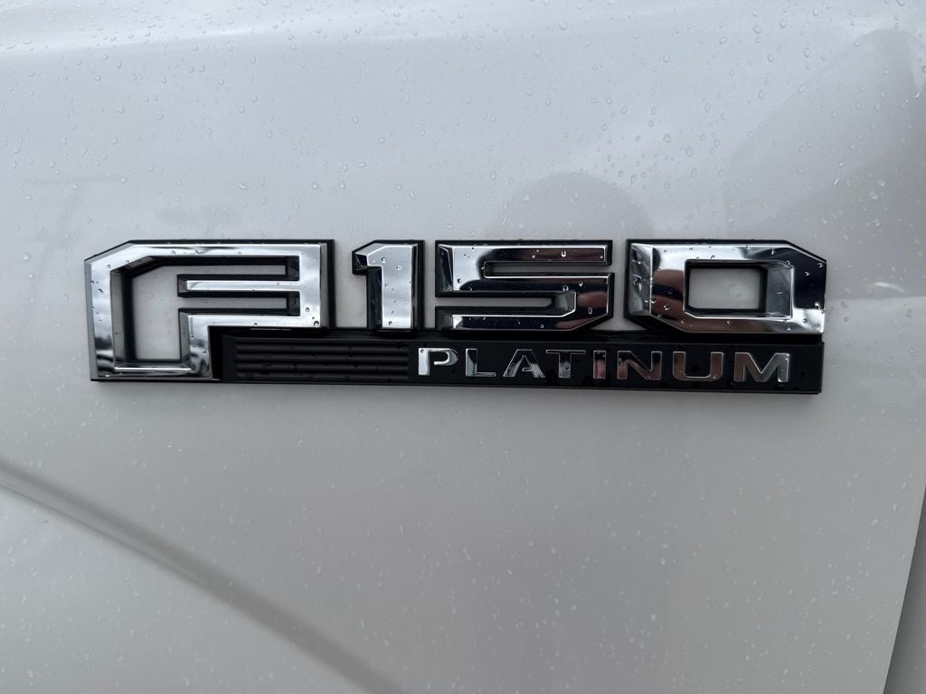 2019 Ford F-150 Platinum