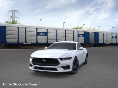 2025 Ford Mustang EcoBoost 101A