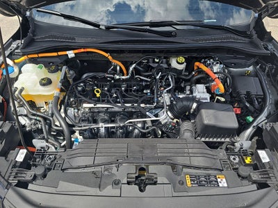 2025 Ford Escape Hybrid ST-Line