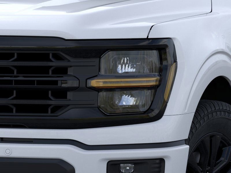 2025 Ford F-150 XLT Black Appearance Pkg 302A