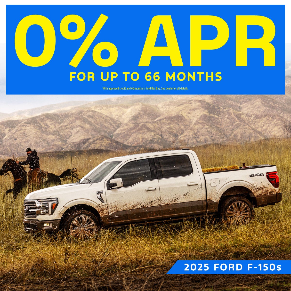 Monthly Offer Banner